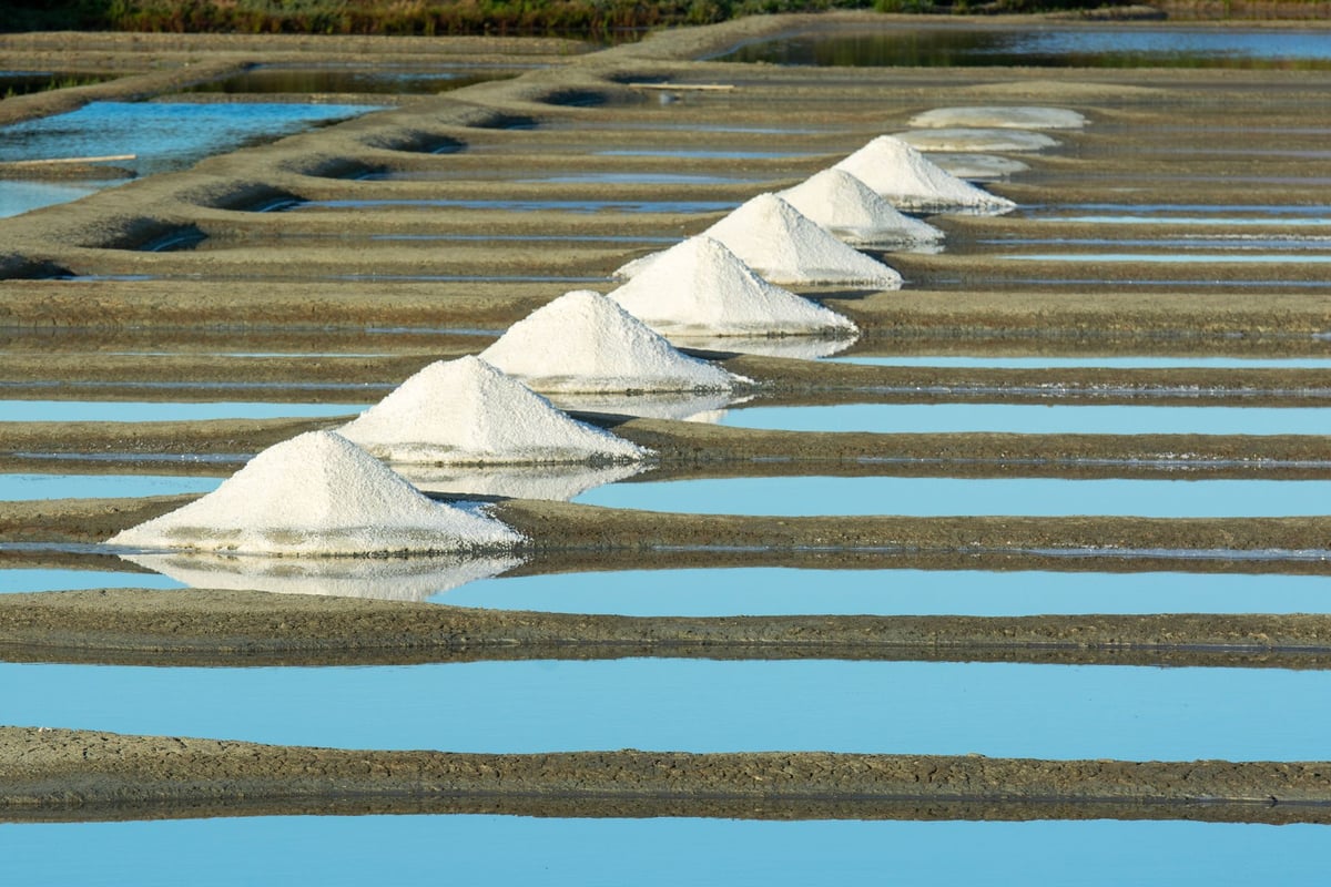 The Ston saltworks — the oldest in Europe